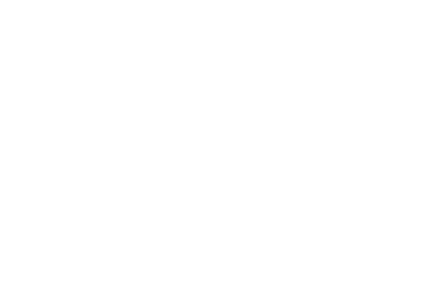 Revision_Limfjord_logo_white