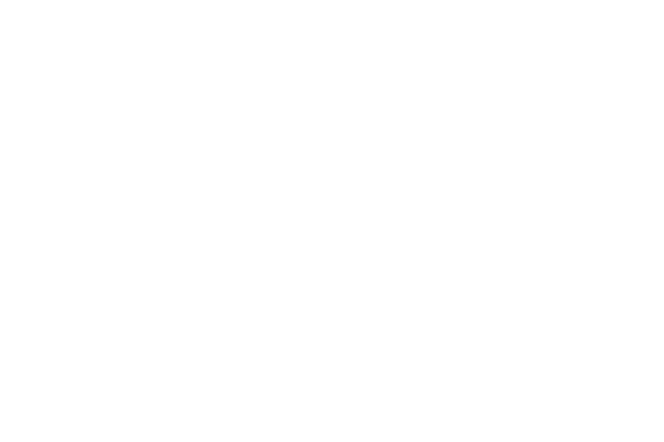 snevagten_logo_white